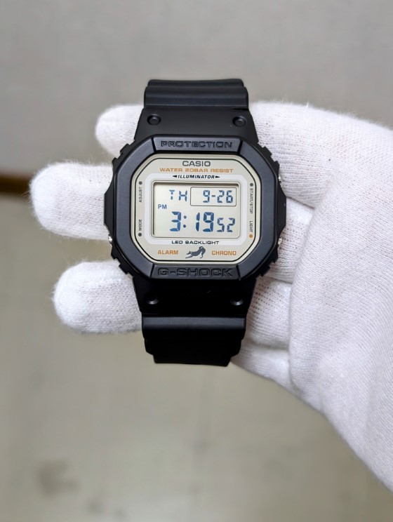 DW-5600SHB-1JR